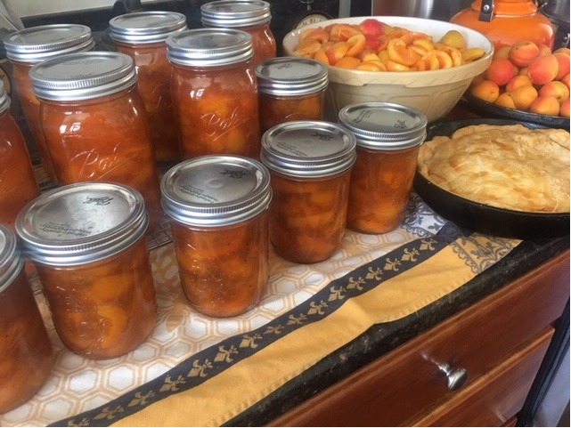 canning jars