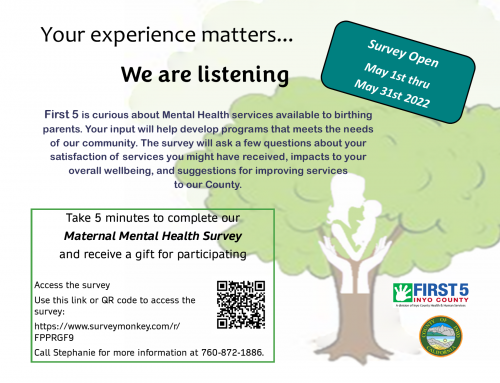Maternal Mental Health Survey